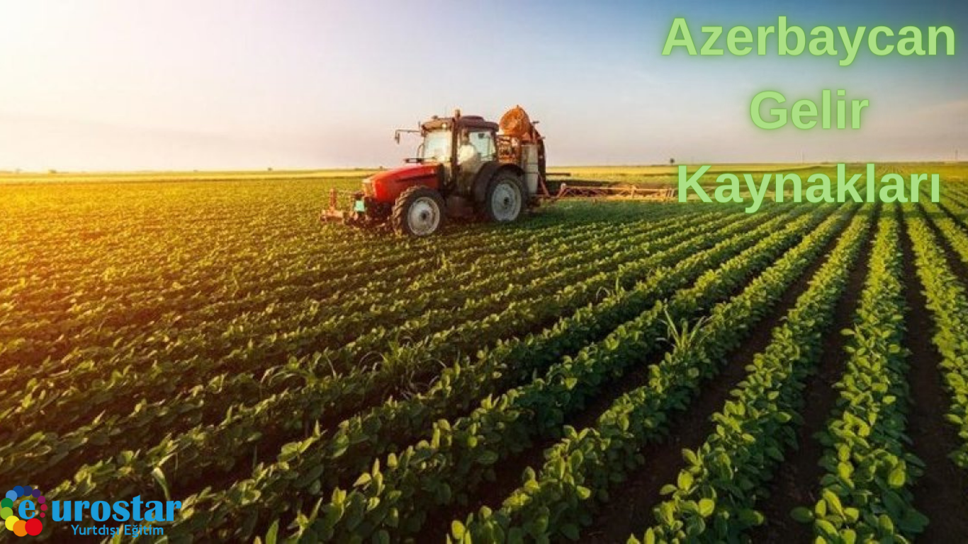 Azerbaycan Gelir Kaynakları